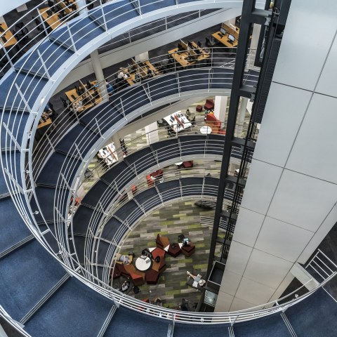 Image Not Found On Media Library